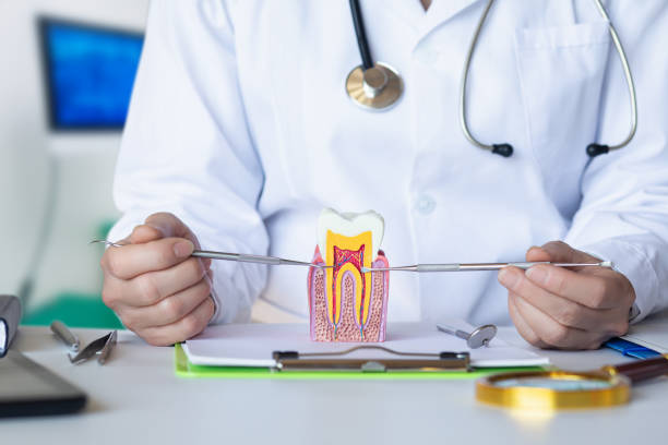 Best Emergency Dentist for Lost Fillings or Crowns in Tusculum, TN
